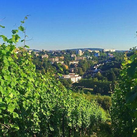 Schroeders Wein-Style-Hotel Трир Экстерьер фото
