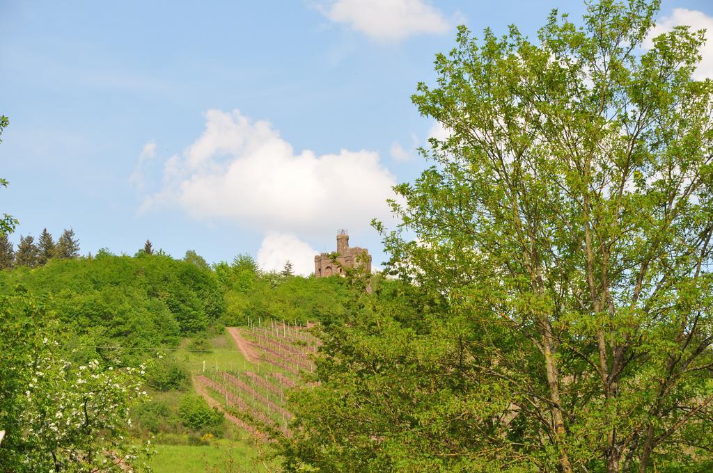 Schroeders Wein-Style-Hotel Трир Экстерьер фото