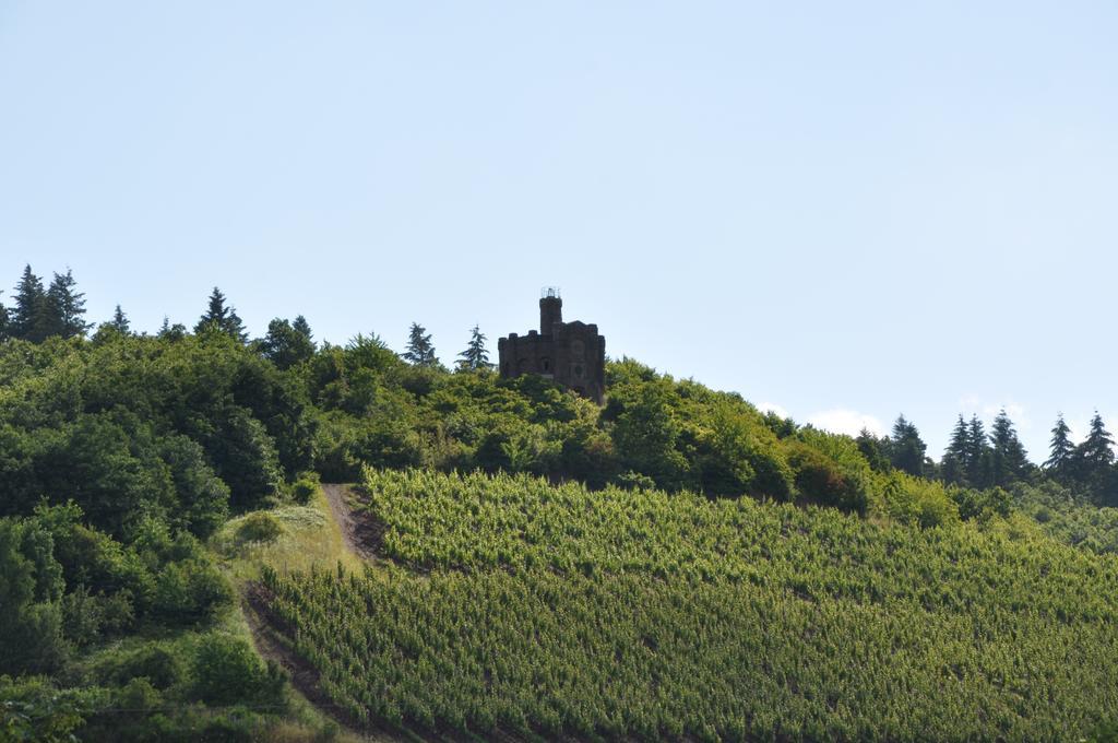 Schroeders Wein-Style-Hotel Трир Экстерьер фото