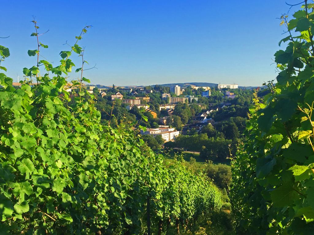 Schroeders Wein-Style-Hotel Трир Экстерьер фото